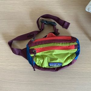 Patagonia Fanny Pack